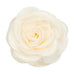 Hvid hårklemme fra Pico med rose i satin i farven Ivory, set ovenfra med lag af kronblade