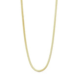 Kleo halskæde i guld fra Wolff Jewelry med flad, tætleddet kæde, vist alene på lys baggrund