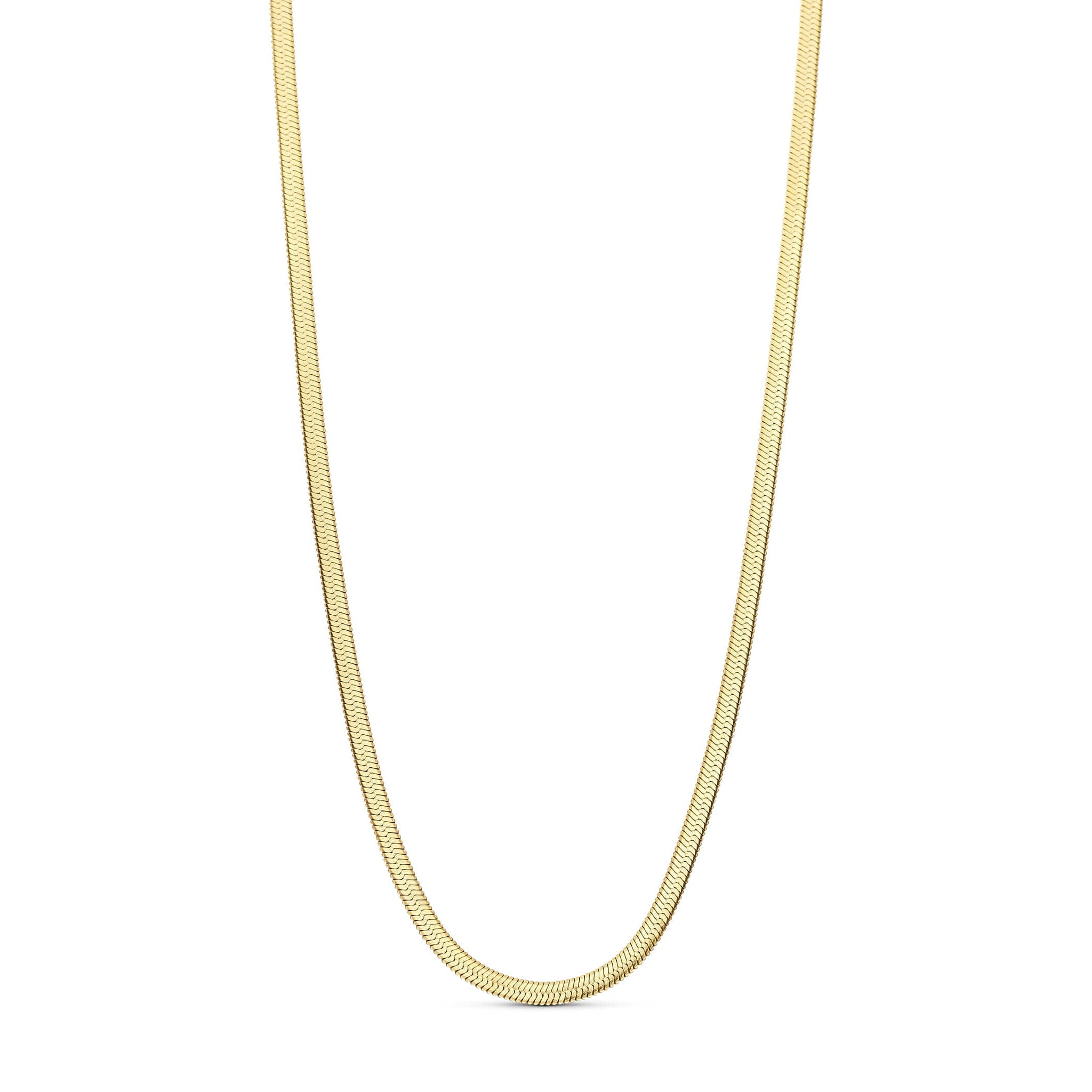 Lang, flad halskæde i guld, Kleo 3 mm fra Wolff Jewelry, set forfra på lys baggrund
