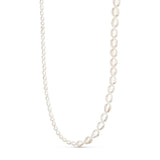Lissa Pearl Necklace i hvid fra Wolff Jewelry med små og store ferskvandsperler på hvid baggrund
